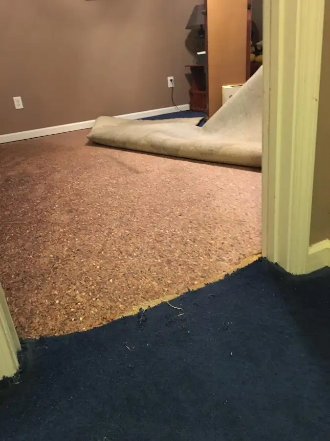 Carpet pad removal revealing water damage during Drying & Dehumidification in Oatfield