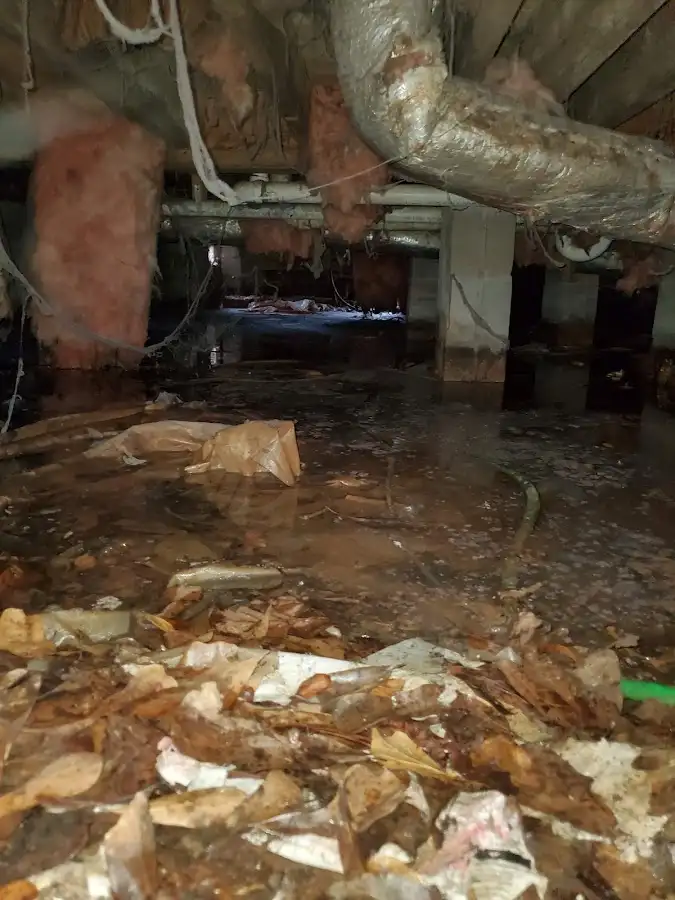 Crawl space flood assessment for Leak Detection & Repair in Oatfield